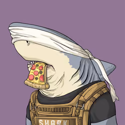 Justice Shark #1840