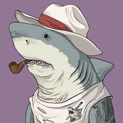 Outlaw Shark #1906