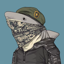 Justice Shark #7093