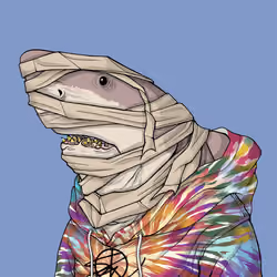 Outlaw Shark #1214