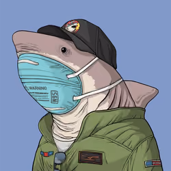 Justice Shark #377