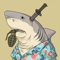 Outlaw Shark #1702