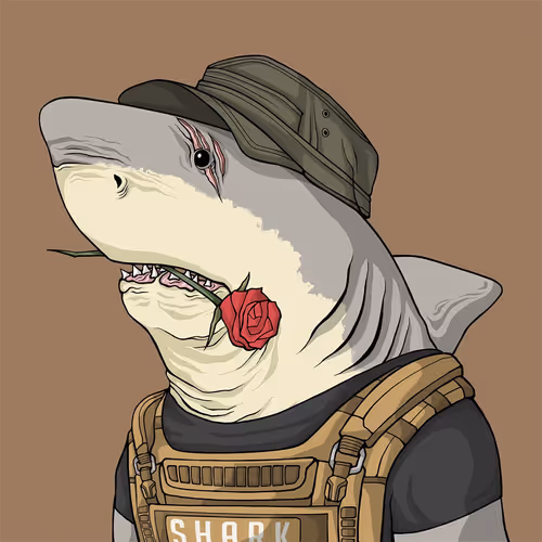 Sharkoutlawsquad