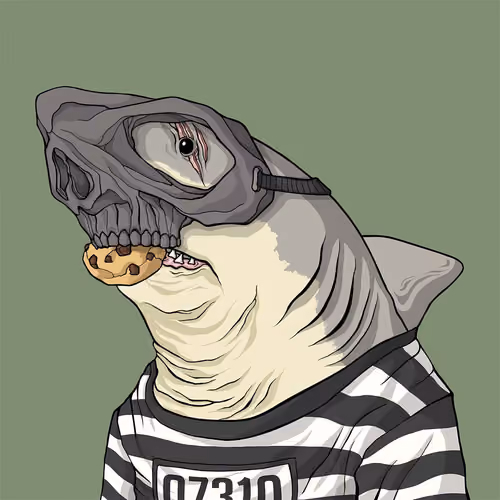 Outlaw Shark #3338