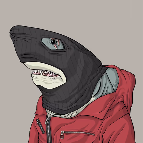 Outlaw Shark #495