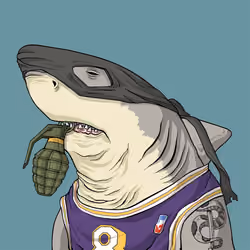 Outlaw Shark #1220