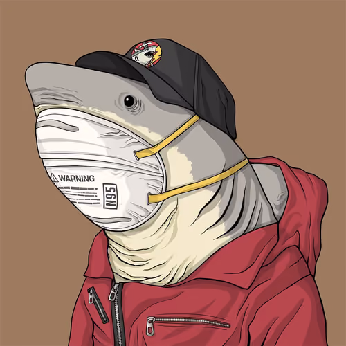 Outlaw Shark #564