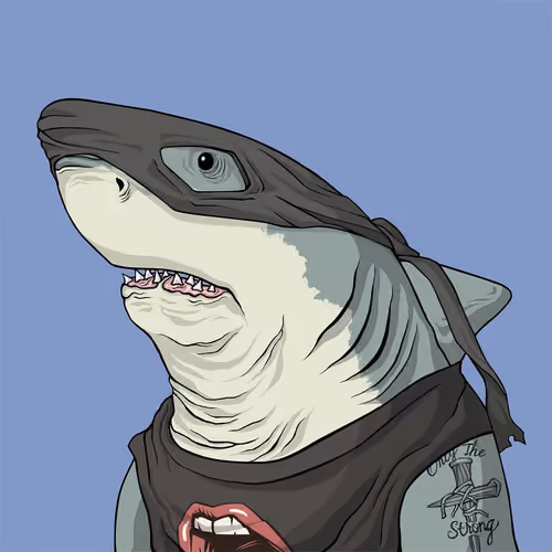 Outlaw Shark #1500