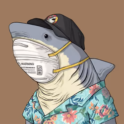 Outlaw Shark #7733