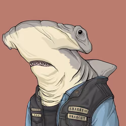 Outlaw Shark #1034