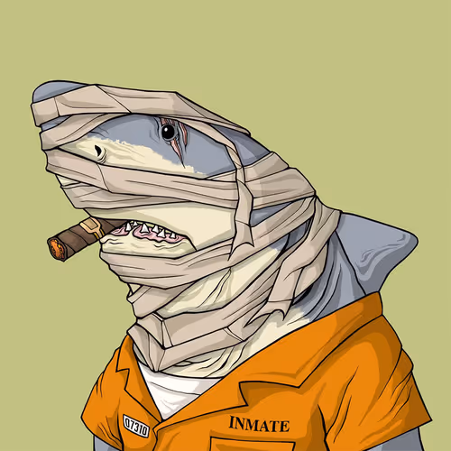 Outlaw Shark #524