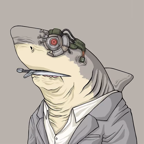 Outlaw Shark #672