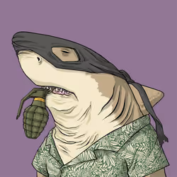 Outlaw Shark #7644