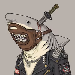 Outlaw Shark #3633