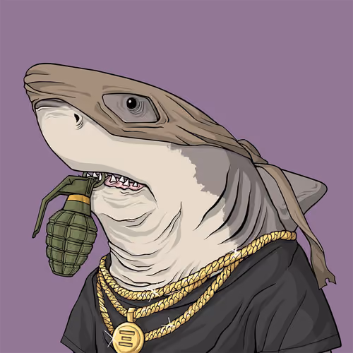 Outlaw Shark #4063