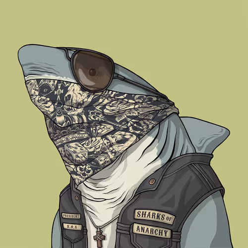 Sharkoutlawsquad