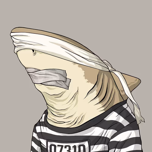 Sharkoutlawsquad
