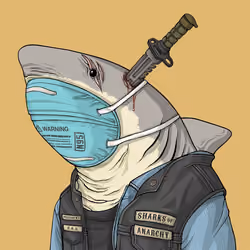 Outlaw Shark #1786