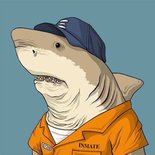 Outlaw Shark #1077