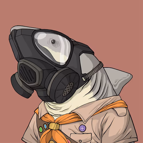 Sharkoutlawsquad