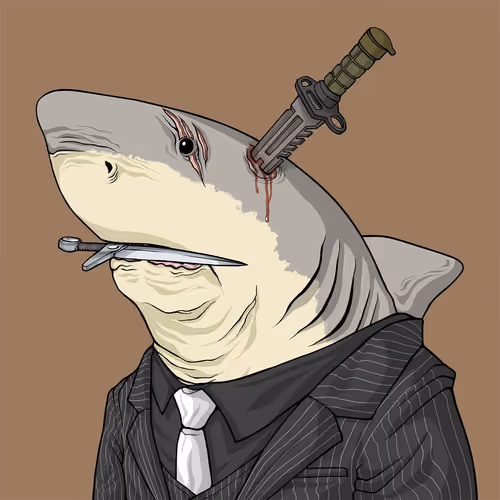 Outlaw Shark #5771