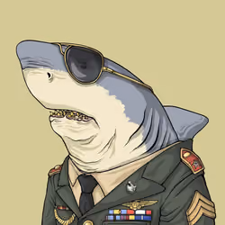 Justice Shark #2649