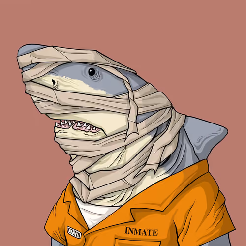 Outlaw Shark #3497