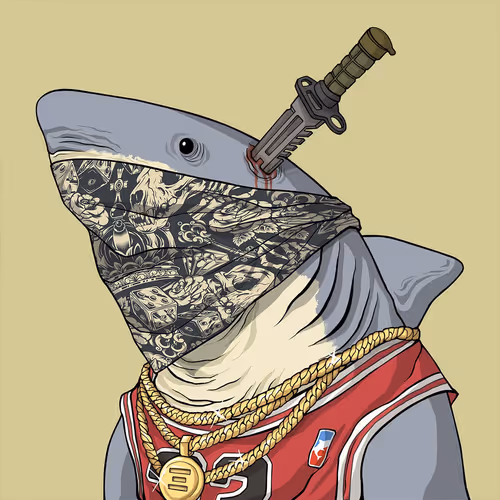 Outlaw Shark #5470