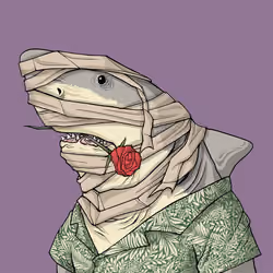 Outlaw Shark #4941