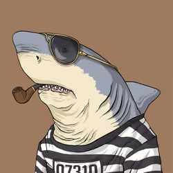 Outlaw Shark #1699
