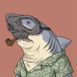 Outlaw Shark #1527