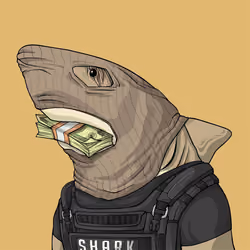 Justice Shark #7343
