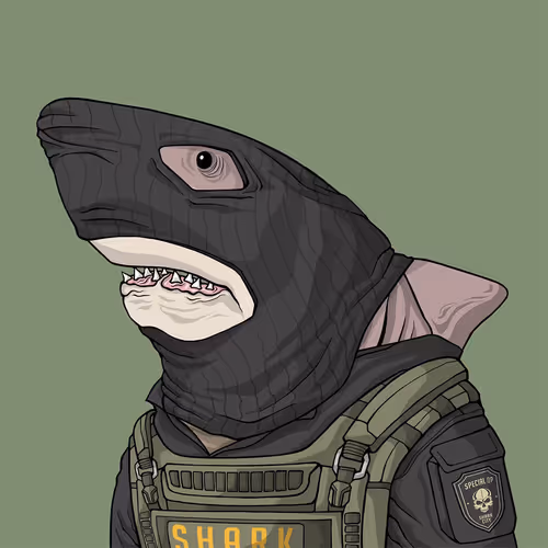 Sharkoutlawsquad