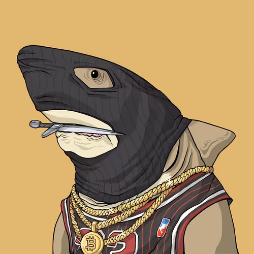 Sharkoutlawsquad