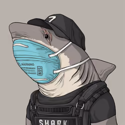Justice Shark #7275