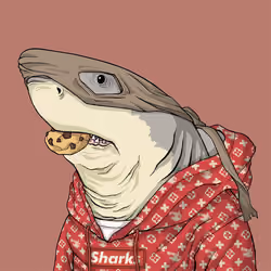 Outlaw Shark #7344