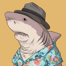 Outlaw Shark #332
