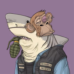 Outlaw Shark #6969