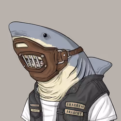Outlaw Shark #3611
