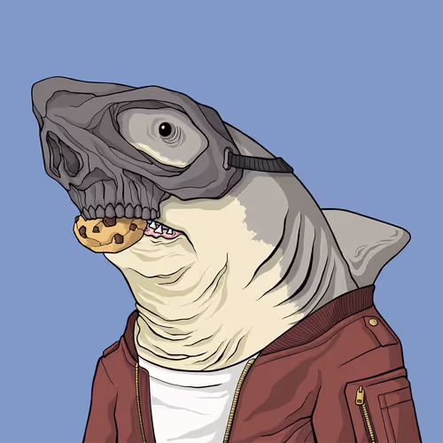 Sharkoutlawsquad