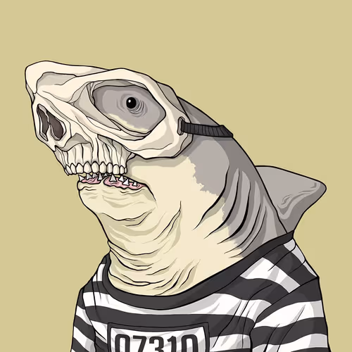 Sharkoutlawsquad
