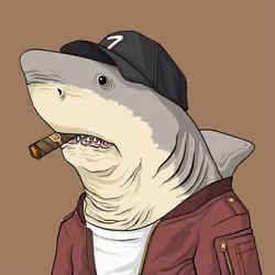 Outlaw Shark #150