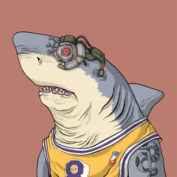 Outlaw Shark #3731