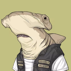 Outlaw Shark #6853