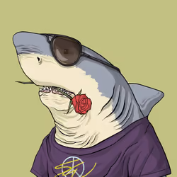 Outlaw Shark #2625