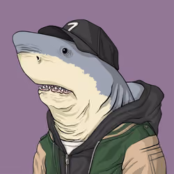 Outlaw Shark #295