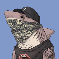 Outlaw Shark #3638