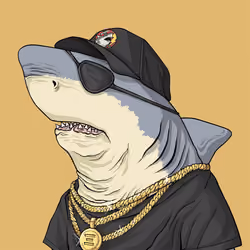 Outlaw Shark #230