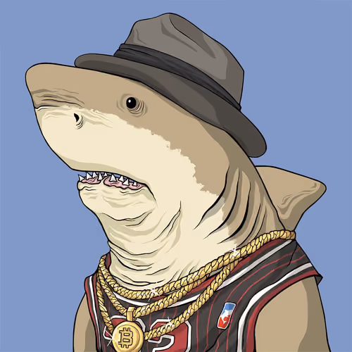 Outlaw Shark #1333