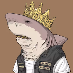 Outlaw Shark #7232